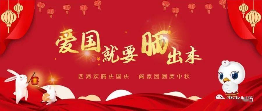 可爱小猫向上跳